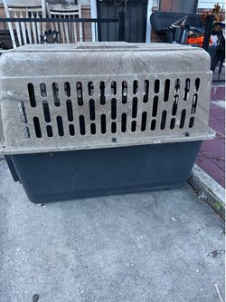 Large dog kennel