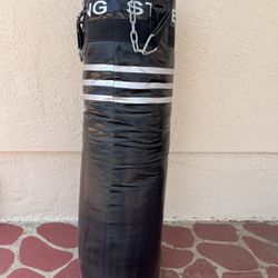 80 lbs Punching Bag