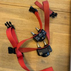 Petsmart Dog Collars 