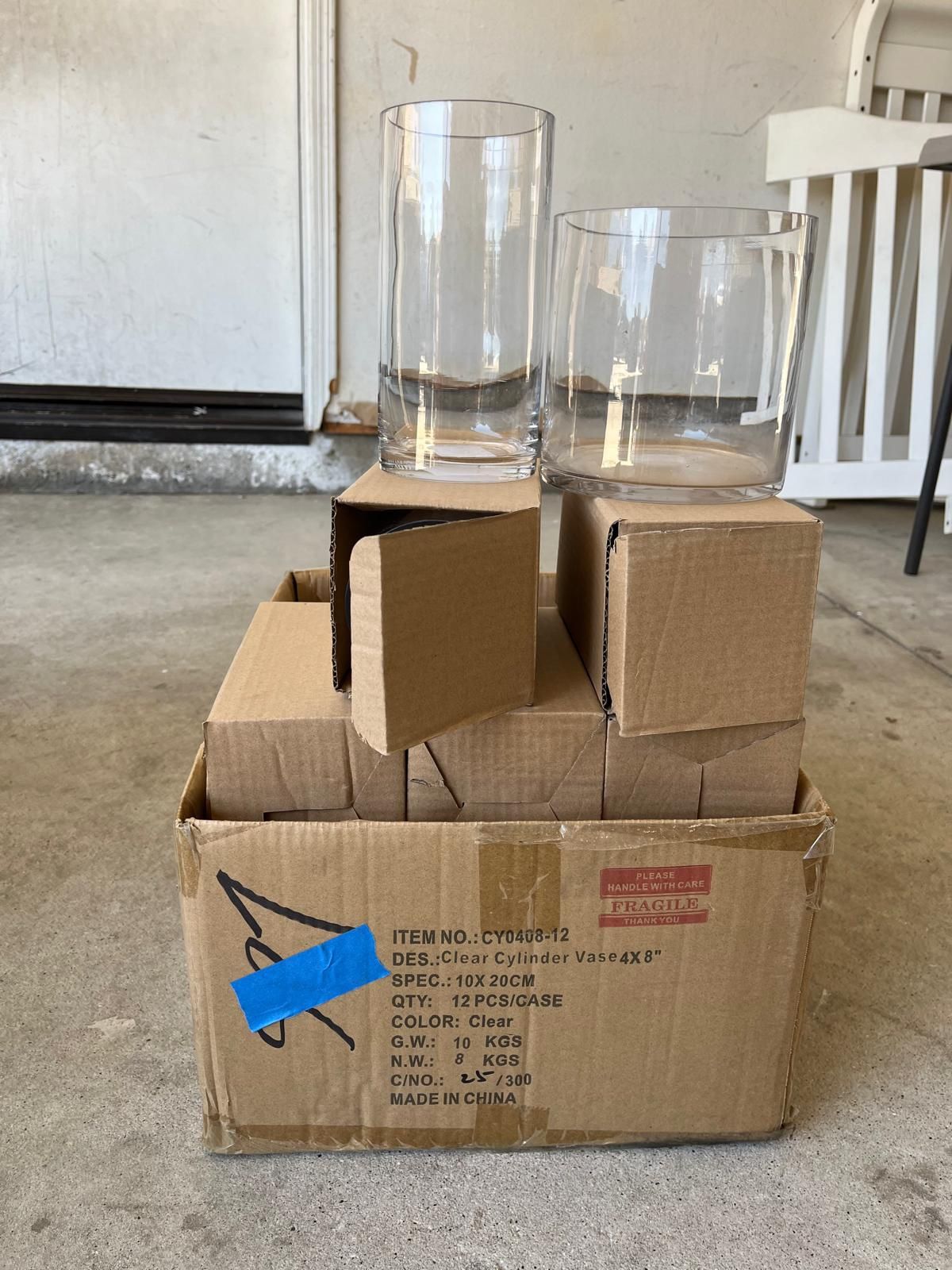 Glass Flowers Vases 