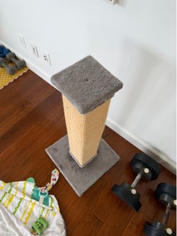 Cat scratcher