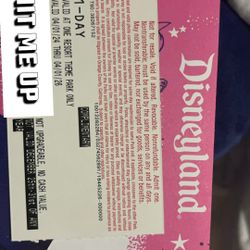 Two Disneyland Tickets