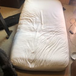 Thick Organic Futon