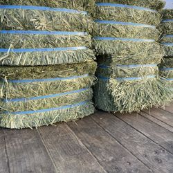Hay