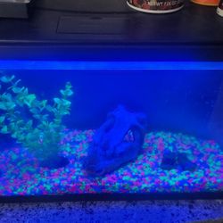 10 GAL FISH TANK 