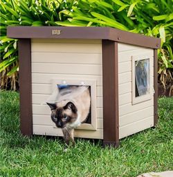 CASA PARA GATOS