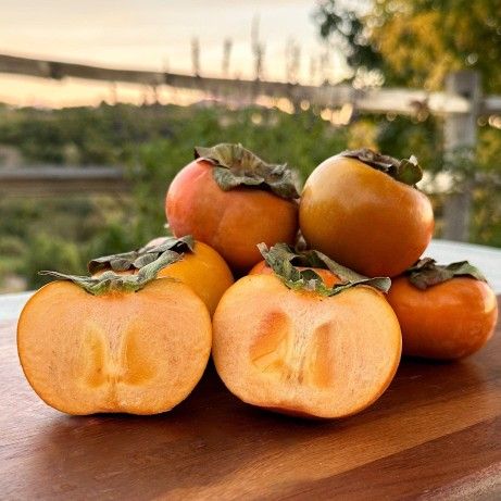 Fuyu Persimmons / Hachiya Persimmons