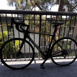 Specialized Bike Roubaix Model