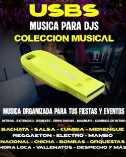 SanDisk USB Drive DJ Music Collection