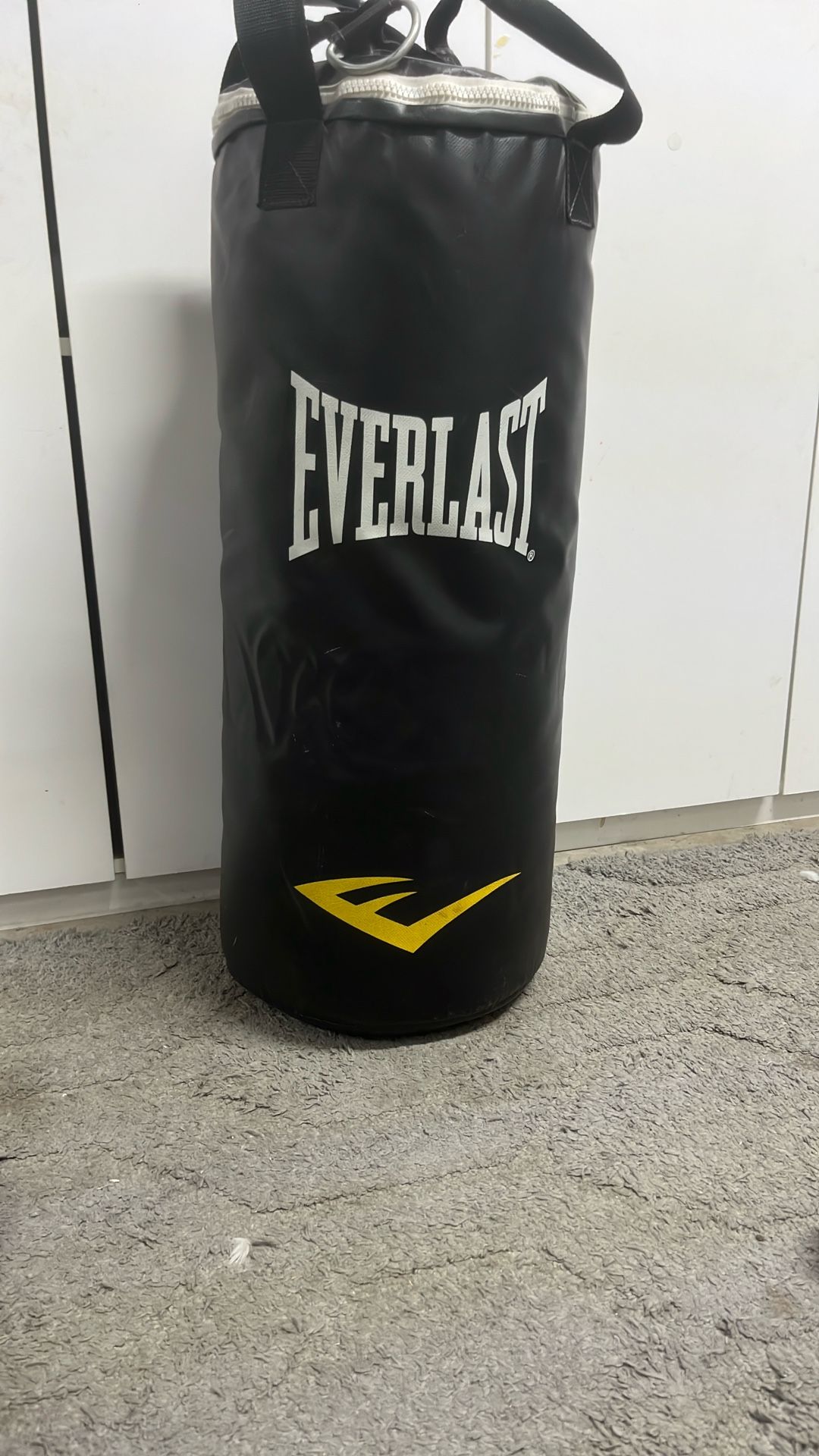 Everlast Punching Bag