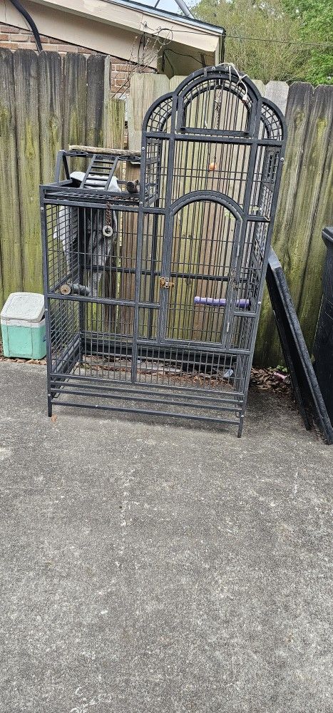 Bird Cage
