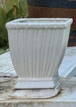 Succulent Pot 