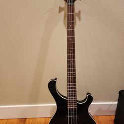 Bass Guitar Case Amp Bundle