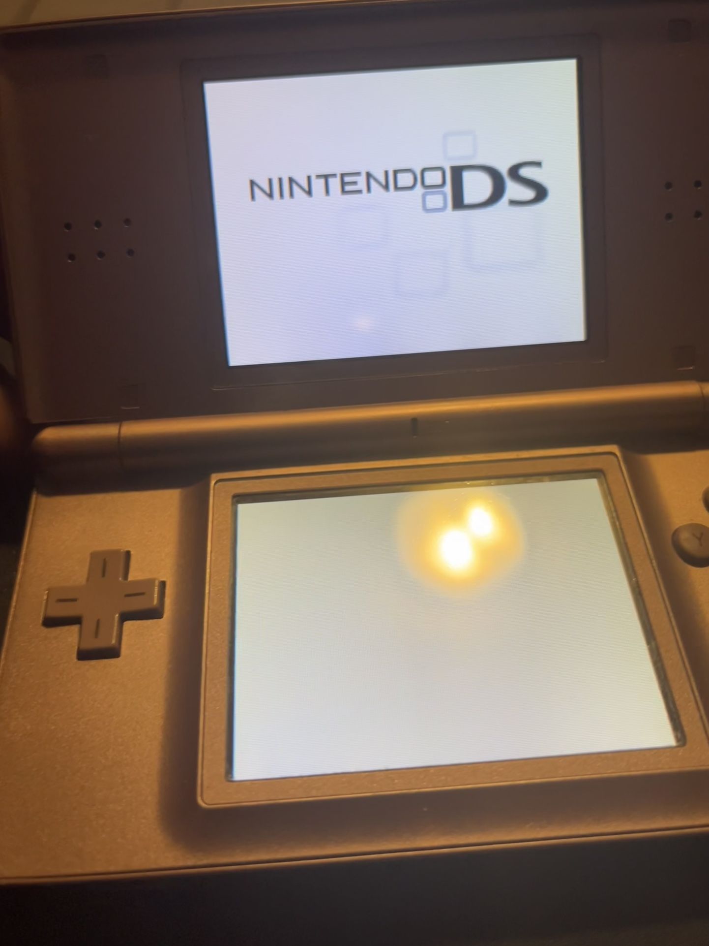 Nintendo DS