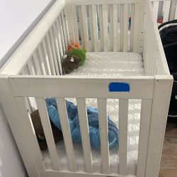 Baby Cribs 