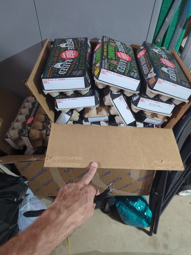 Free Empty Egg Cartons