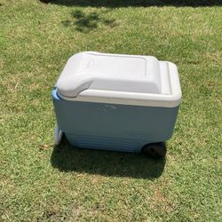 Igloo Cooler