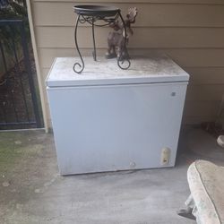 Scrap Deep Freezer 