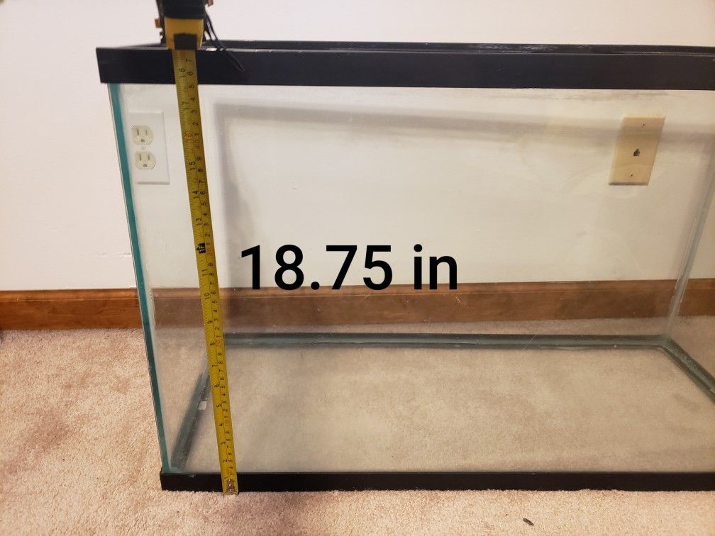 29 Gallon Tank