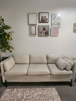 Small Couch