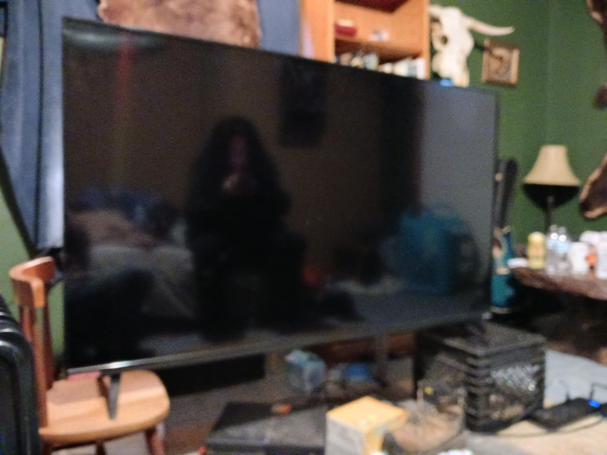 60 In. Vizio Tv