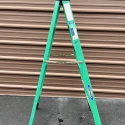 6 Foot Werner Ladder 