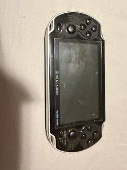 Hand held video system