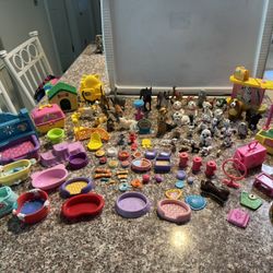 Dogs, Cats & Accessories 