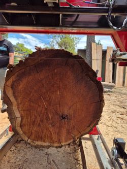 Redwood slabs