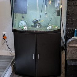 33 Gallon Tank & All
