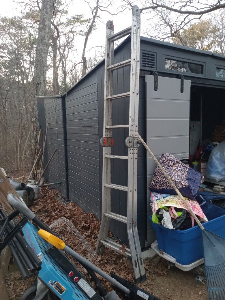 Folding Ladder