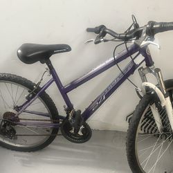 Purple girls bike