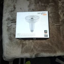 Sengled Flood Light With Built-in Wireless Camera