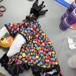 $1 Small Pet Costume