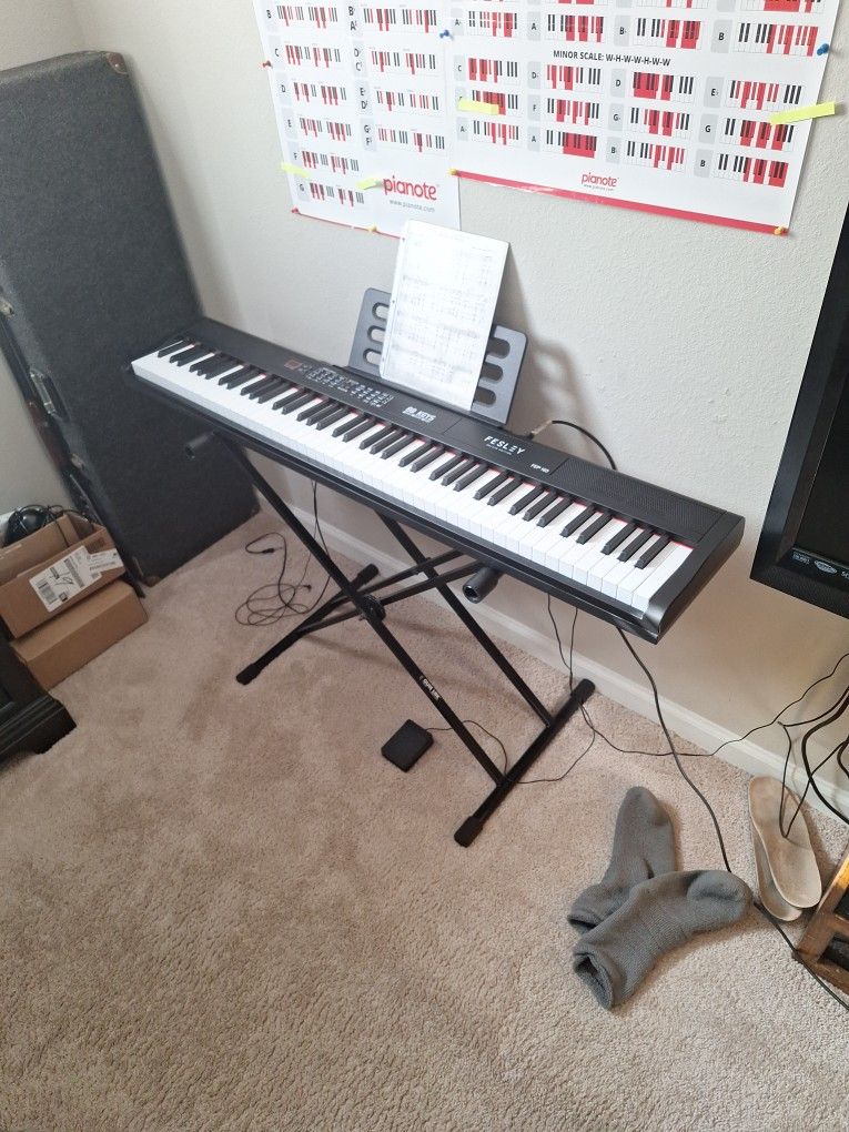 Fesley Deluxe Edition FEP 160