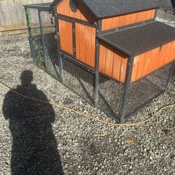 Chicken Coop