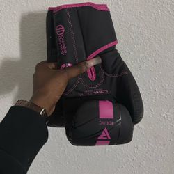 Boxing Gloves Brand New 