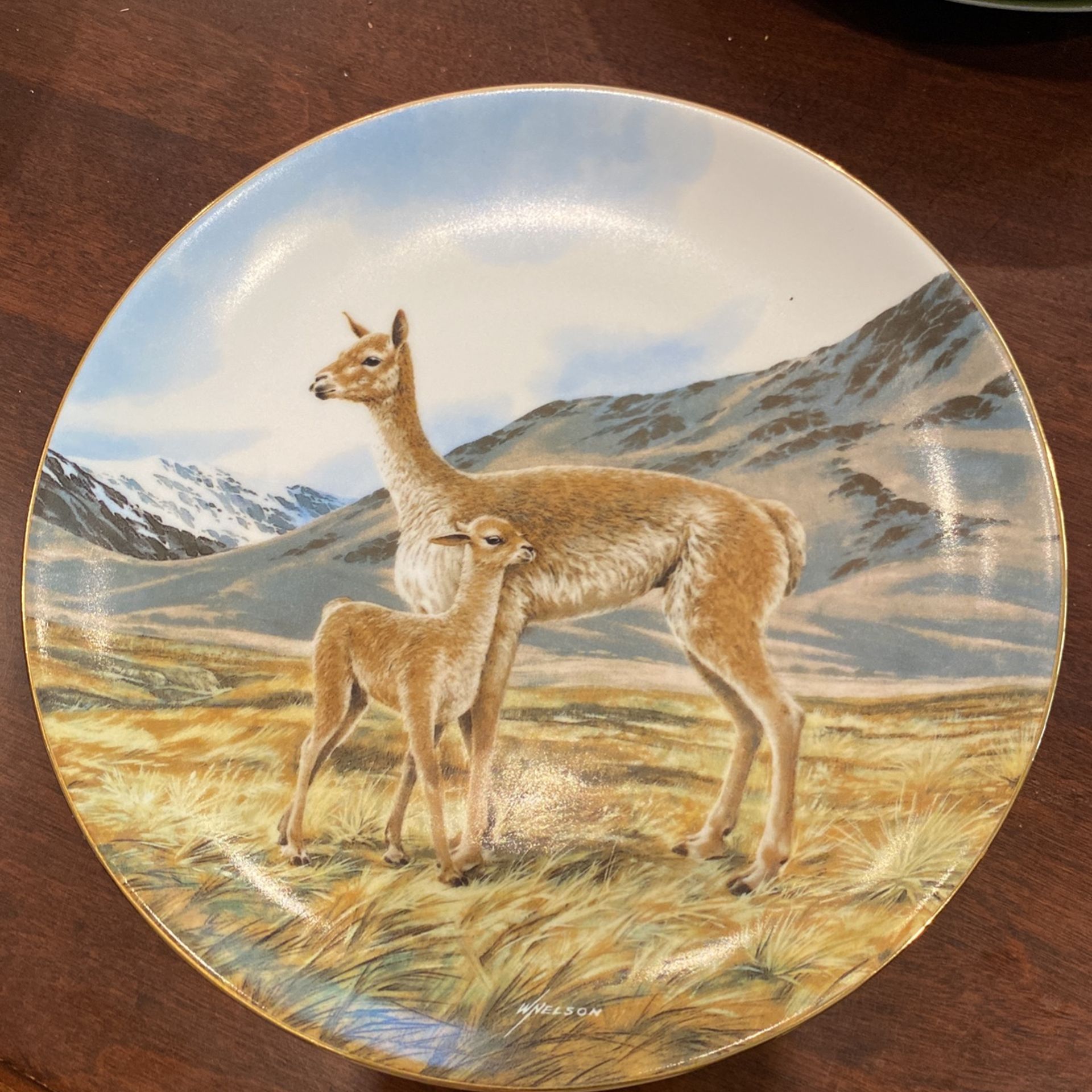 Collector Plate 