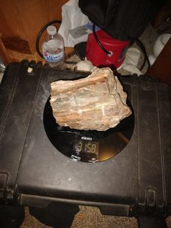 Petrified Wood, Serpentine, Jasper, Obsidian.