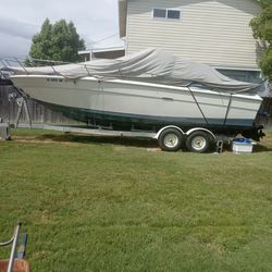 Sea ray boat
