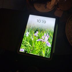 wifi 256GB M1 5th Generation STARDUST GOLD 