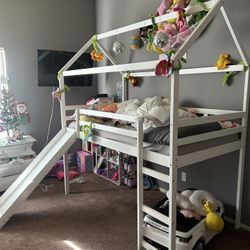 Twin Loft Bed With Slide And Ladder
