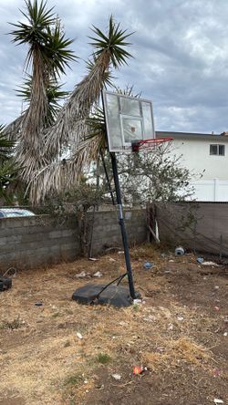 Basketball Hoop
