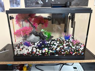 5 Gallons Fish Tank with everything included - Filter, thermometer, heater, bubbler pump, light and decoration