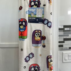 Beautiful Blankets Different Characters $35 EACH Or 2 For $50 Form Price. Pick Up In Van Nuys