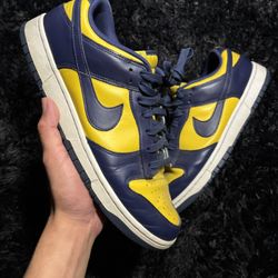 Michigan Dunks 2021