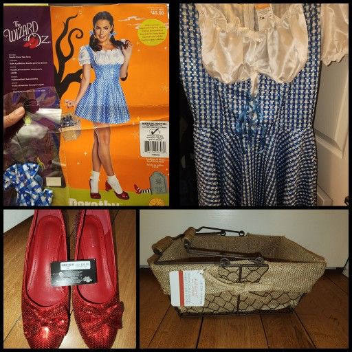 Adult Dorothy Wizard of Oz costume size medium