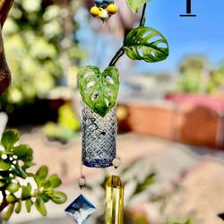 Handmade propagation, sun catcher planter