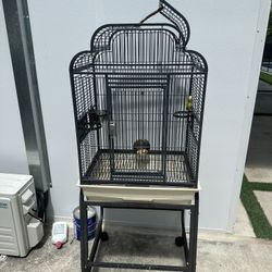 Jaula—cage 