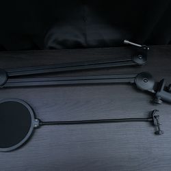 Microphone Arm and Pop Filter 